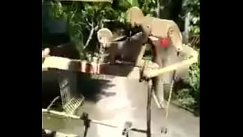 Film Panas Indonesia