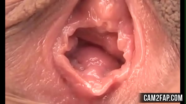 Video Mesum Jilat Memek Asia Yang Menggairahkan