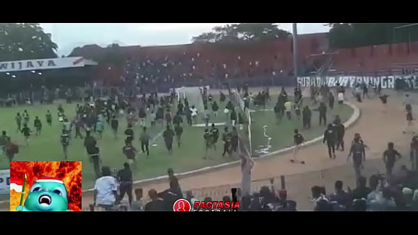 Budaya Baku Hantam, Biar Pake Kontol Panas Kalo Gak Setuju Suporter Indonesia.